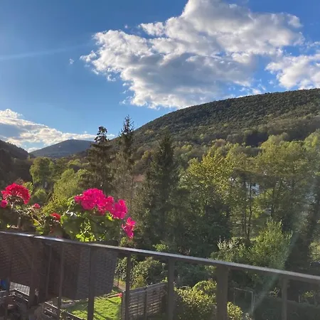 Pfaelzer Traumblick Lejlighed