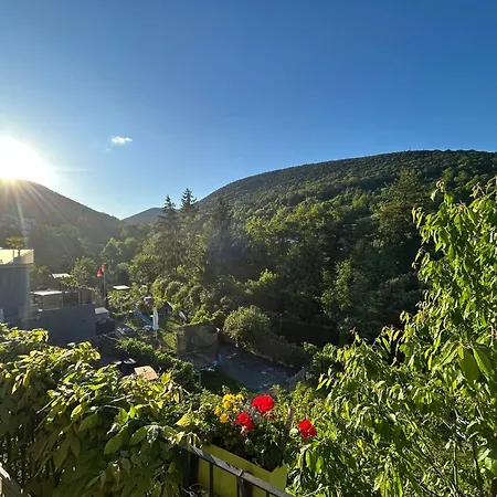 Pfaelzer Traumblick Apartment Sankt Martin