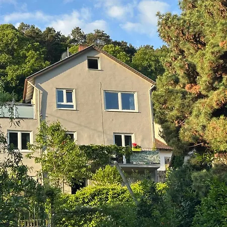 Pfaelzer Traumblick Lejlighed Sankt Martin